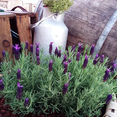 Landhaus A Casa De Lucha